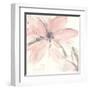 Blush Clematis II-Chris Paschke-Framed Art Print