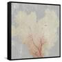 Blush Coral I-Aimee Wilson-Framed Stretched Canvas