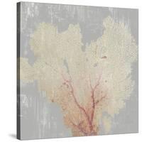 Blush Coral I-Aimee Wilson-Stretched Canvas