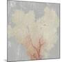 Blush Coral I-Aimee Wilson-Mounted Art Print