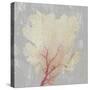 Blush Coral II-Aimee Wilson-Stretched Canvas