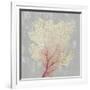 Blush Coral II-Aimee Wilson-Framed Art Print