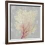 Blush Coral II-Aimee Wilson-Framed Art Print