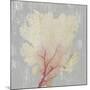 Blush Coral II-Aimee Wilson-Mounted Art Print