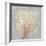 Blush Coral II-Aimee Wilson-Framed Art Print