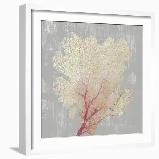 Blush Coral II-Aimee Wilson-Framed Art Print