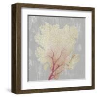 Blush Coral II-Aimee Wilson-Framed Art Print