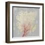 Blush Coral II-Aimee Wilson-Framed Art Print