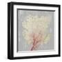 Blush Coral II-Aimee Wilson-Framed Art Print