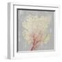 Blush Coral II-Aimee Wilson-Framed Art Print