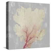 Blush Coral II-Aimee Wilson-Stretched Canvas