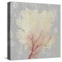 Blush Coral II-Aimee Wilson-Stretched Canvas