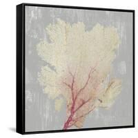 Blush Coral II-Aimee Wilson-Framed Stretched Canvas