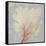 Blush Coral II-Aimee Wilson-Framed Stretched Canvas