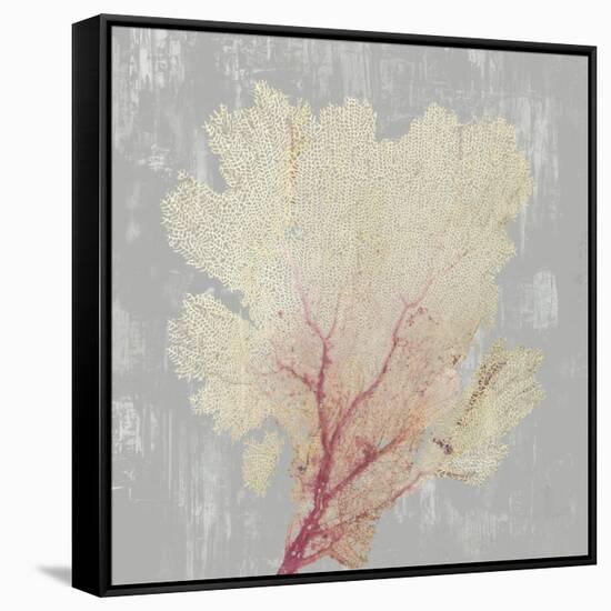 Blush Coral II-Aimee Wilson-Framed Stretched Canvas