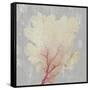 Blush Coral II-Aimee Wilson-Framed Stretched Canvas