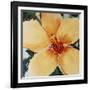 Blush Edmunds-Sydney Edmunds-Framed Giclee Print