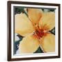 Blush Edmunds-Sydney Edmunds-Framed Giclee Print