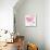 Blush Garden-Sheila Golden-Mounted Art Print displayed on a wall