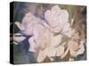 Blush Gardenia Beauty I-Sharon Chandler-Stretched Canvas