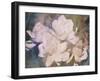 Blush Gardenia Beauty I-Sharon Chandler-Framed Art Print