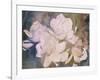 Blush Gardenia Beauty I-Sharon Chandler-Framed Art Print