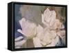 Blush Gardenia Beauty II-Sharon Chandler-Framed Stretched Canvas