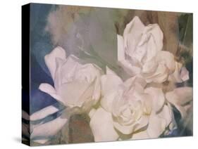 Blush Gardenia Beauty II-Sharon Chandler-Stretched Canvas