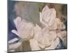 Blush Gardenia Beauty II-Sharon Chandler-Mounted Art Print