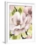 Blush Magnolia II-Grace Popp-Framed Art Print