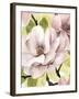 Blush Magnolia II-Grace Popp-Framed Art Print