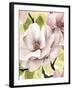 Blush Magnolia II-Grace Popp-Framed Art Print