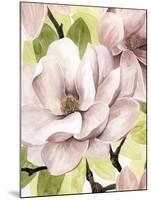 Blush Magnolia II-Grace Popp-Mounted Art Print