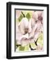 Blush Magnolia II-Grace Popp-Framed Art Print