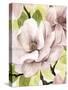 Blush Magnolia II-Grace Popp-Stretched Canvas