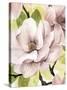 Blush Magnolia II-Grace Popp-Stretched Canvas