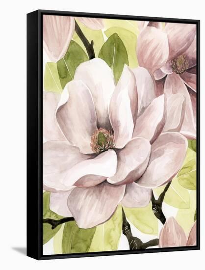 Blush Magnolia II-Grace Popp-Framed Stretched Canvas