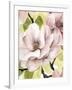 Blush Magnolia II-Grace Popp-Framed Art Print