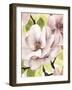 Blush Magnolia II-Grace Popp-Framed Art Print