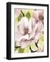 Blush Magnolia II-Grace Popp-Framed Art Print