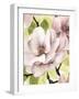 Blush Magnolia II-Grace Popp-Framed Art Print