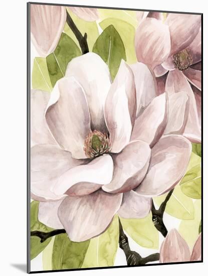 Blush Magnolia II-Grace Popp-Mounted Art Print