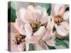 Blush Peonies-Katrina Pete-Stretched Canvas