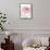 Blush Peony II-Beverly Dyer-Framed Stretched Canvas displayed on a wall