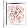 Blush Peony-Beverly Dyer-Framed Art Print