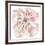 Blush Peony-Beverly Dyer-Framed Art Print