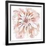 Blush Peony-Beverly Dyer-Framed Art Print