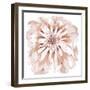 Blush Peony-Beverly Dyer-Framed Art Print