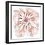 Blush Peony-Beverly Dyer-Framed Art Print