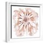 Blush Peony-Beverly Dyer-Framed Art Print